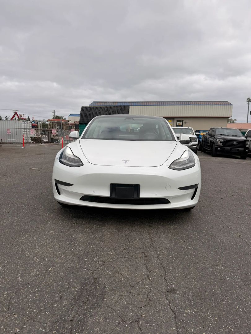 tesla model 3 2020 5YJ3E1EAXLF764529 image tesla model 3 2020 5YJ3E1EAXLF764529 image